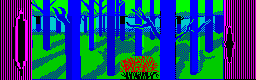 birwood bush
